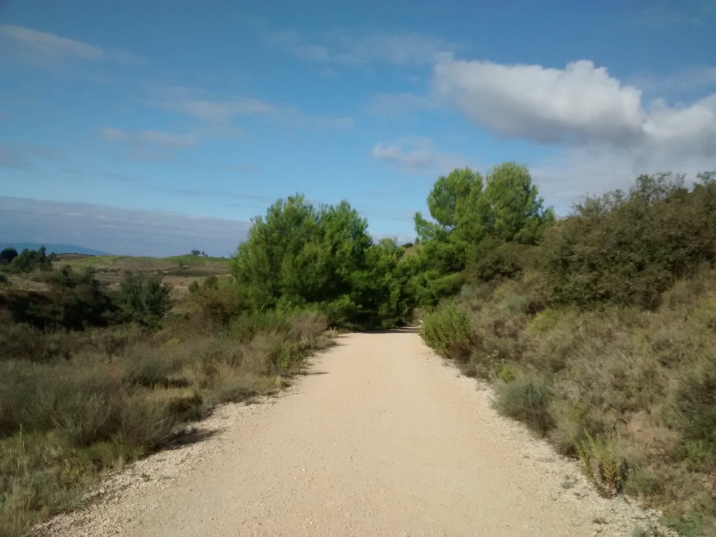 Camino
